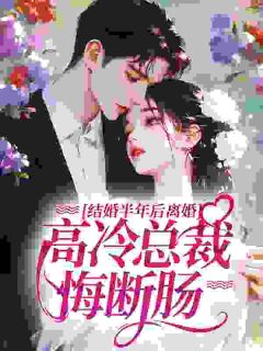 结婚半年后离婚，高冷总裁悔断肠
