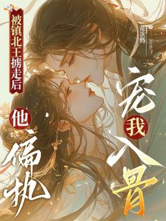 被镇北王掳走后，他偏执宠我入骨