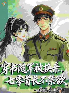 穿书随军被换亲，七零首长不禁欲