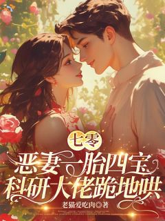 七零恶妻一胎四宝科研大佬跪地哄