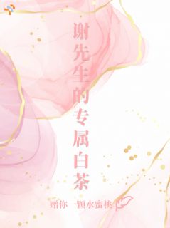 谢先生的专属白茶