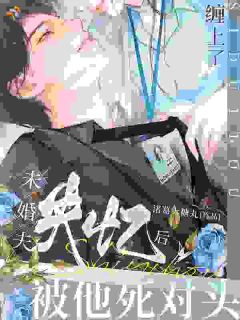 (爆款)小说未婚夫爱上别人，她直接嫁他死对头全文阅读《林栖沫郁斯屿》在线阅读 诸葛大糖丸小说全本无弹窗