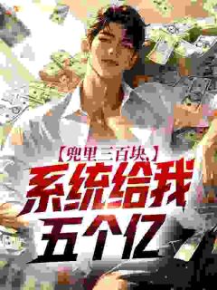 兜里三百块，系统给我五个亿