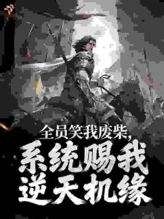 全员笑我废柴，系统赐我逆天机缘