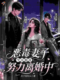 恶毒妻子今天也在努力离婚中