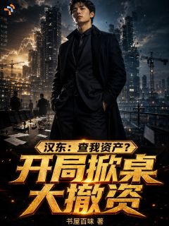 汉东：查我资产？开局掀桌大撤资