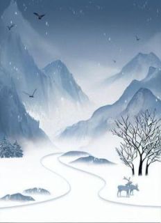疯批师尊她火葬场杀疯了