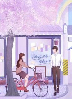 婚途末路，向阳而生
