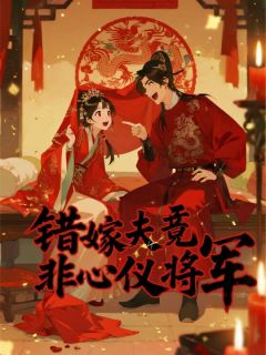 青春小说《错嫁夫君竟非心仪将军》主角江书晚裴云昭全文精彩内容免费阅读