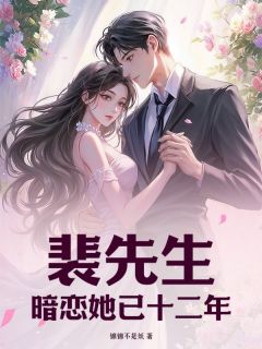 裴先生，暗恋她已十二年