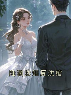 《陆渊沈知夏沈绾》小说全文免费试读 陆渊沈知瑶小说全文