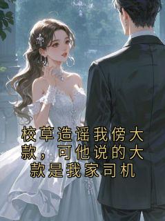 《校草造谣我傍大款，可他说的大款是我家司机》林知远章节目录免费试读