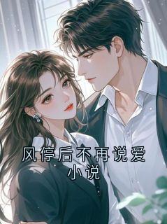 风停后不再说爱小说