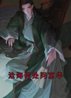 沧海何处问京华