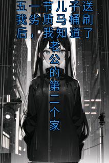 五一节儿子送我劣质马桶刷后，我知道了老公的第二个家