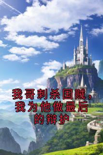 我哥刺杀国贼，我为他做最后的辩护