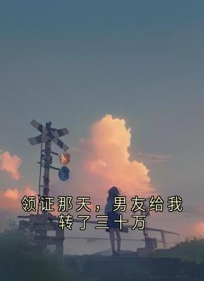 领证那天，男友给我转了三十万