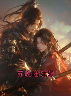 苏晚陆沉渊