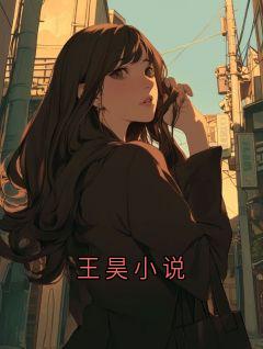 王昊小说