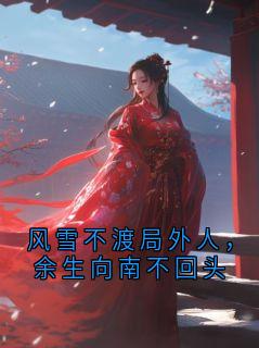 风雪不渡局外人，余生向南不回头