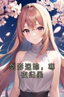 剑影迷踪，寒夜归墨