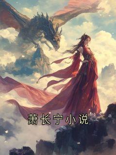 萧长宁小说