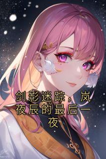 剑影迷踪，岚夜辰的最后一夜