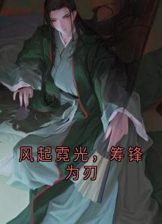 风起霓光，筹锋为刃