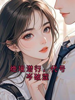 绝境潜行，代号岑破霆