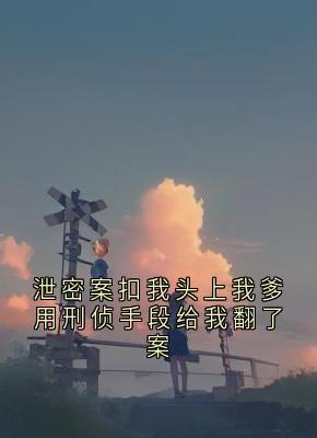 泄密案扣我头上我爹用刑侦手段给我翻了案