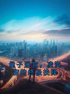 量子迷宫，凌岚宙的终极抉择