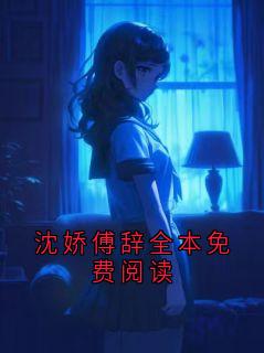 沈娇傅辞全本免费阅读