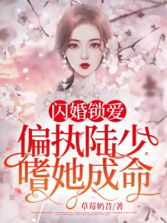 《闪婚锁爱：偏执陆少嗜她成命》小说完结版精彩阅读 顾清溪陆景翊小说阅读
