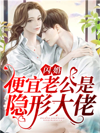 《闪婚，便宜老公是隐形大佬》小说完结版在线阅读 洛汐荆毅小说全文