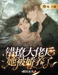 新书《错撩大佬后，她被娇养了》小说全集阅读 苏栗沈薄琛小说免费完整版全文