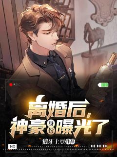 《离婚后，神豪身份曝光了》林凡苏倾城章节免费试读 林凡苏倾城是什么小说