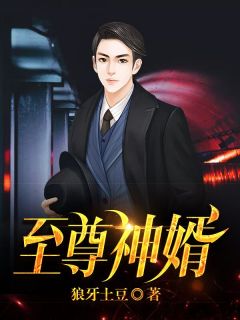 《至尊神婿》小说完结版在线试读 叶昊郑漫儿小说全文