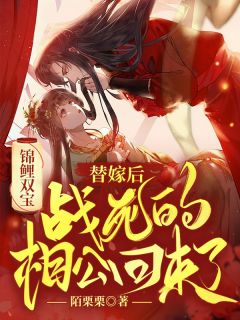 锦鲤双宝：替嫁后，战死的相公回来了by殷瑶江离精彩章节 殷瑶江离小说全集免费试读