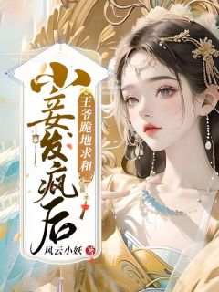 小妾发疯后，王爷跪地求和by风云小妖 蓝水瑶玥南宸小说完整篇在线阅读