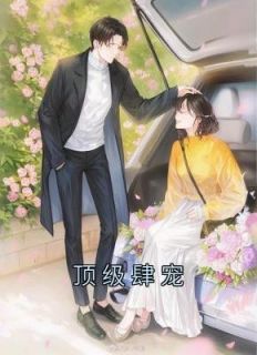 顶级肆宠完整全文全集精彩试读 顶级肆宠小说免费阅读