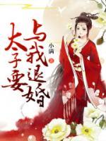 铁打的太子妃，流水的太子林宛瑜陆展博小说全文阅读