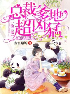 蓝欣陆浩成by南宫紫嫣 一胞三胎，总裁爹爹超凶猛小说阅读