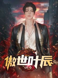 傲世叶辰叶辰李慧小说精彩内容在线阅读