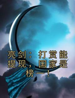 《亮剑：打赏能提现，国家是榜一！》陆川李云龙章节列表精彩试读