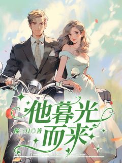 他暮光而来完整小说目录在线阅读 (叶笙周砚深) 大结局无弹窗