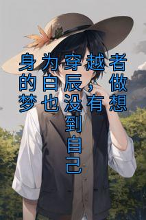 《身为穿越者的白辰，做梦也没有想到自己》小说章节目录精彩阅读 白辰杨小冉小说全文