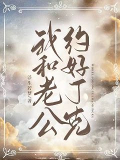 《我和老公约好丁克》小说完结版精彩试读 清欢宋浩小说全文