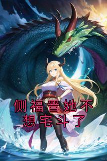 侧福晋她不想宅斗了by折耳根的猫 夕颜赵正寅免费在线全文阅读