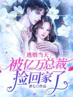 《逃婚当天，被亿万总裁捡回家了》苏姌霍屹洲全文阅读
