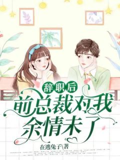 《辞职后，前总裁对我余情未了》宋襄严厉寒全文在线阅读